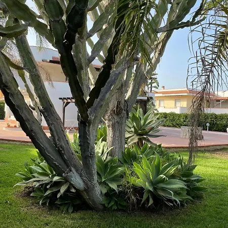 Apartment San Lorenzo *